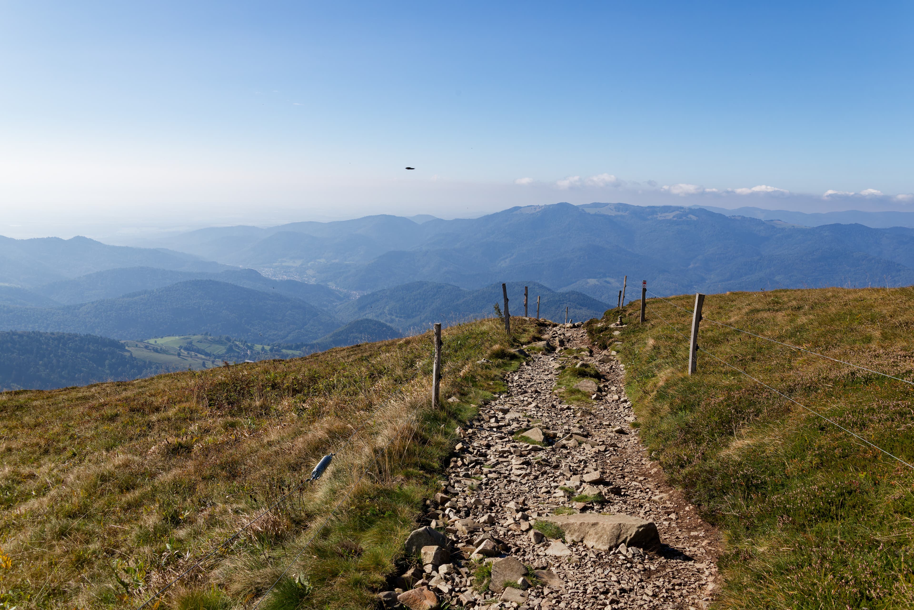 Grand Ballon — Sommet des Vosges