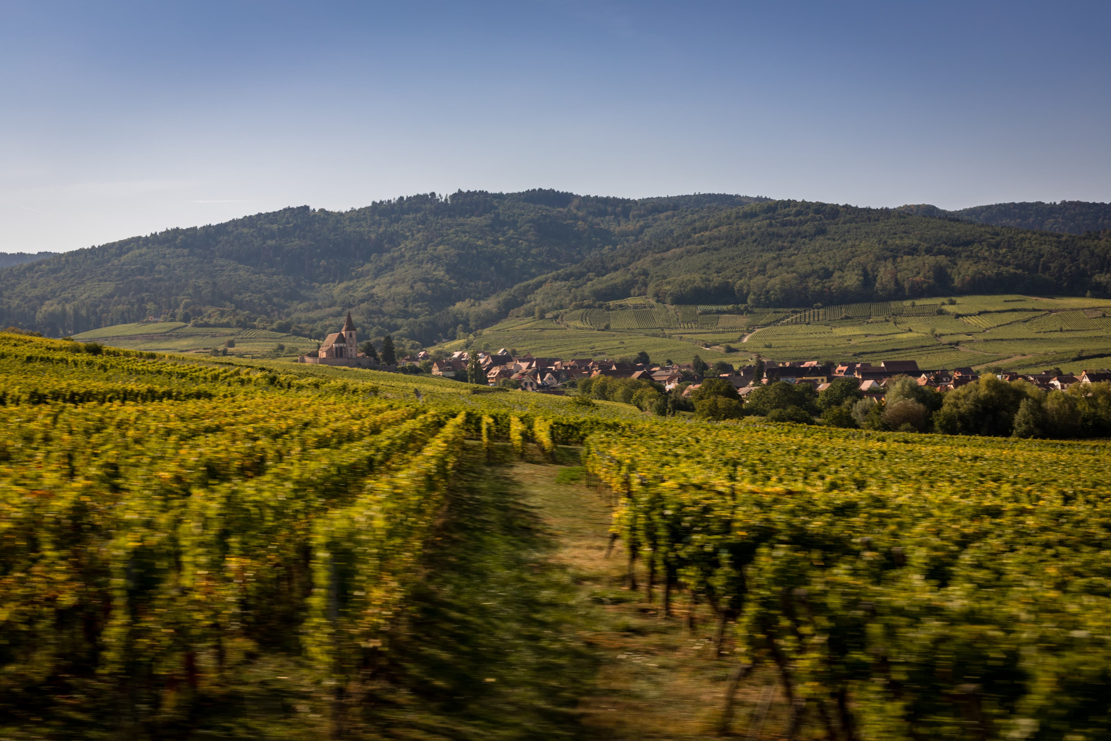 Véloroute du Vignoble d'Alsace